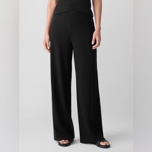 Eileen Fisher Black Wide-Leg Trousers, size 2 fly zip, front pocket, excellent